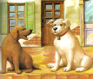 Animale Cainele cu clopotel modul de viata si caracteristicile lui animal .com .ro