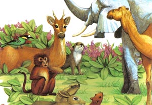 Animale Camila, elefantul si maimuta modul de viata si caracteristicile lui animal .com .ro