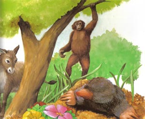 Animale Cei trei nemultumiti modul de viata si caracteristicile lui animal .com .ro
