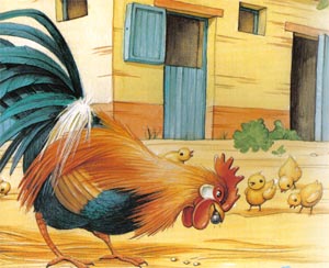 Animale Cocosul fi perla modul de viata si caracteristicile lui animal .com .ro