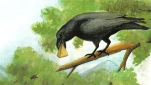 Animale Vulpea si corbul modul de viata si caracteristicile lui animal .com .ro
