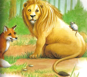 Animale Leul, vulpea si soarecele modul de viata si caracteristicile lui animal .com .ro