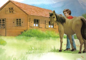 Animale Omul si caii modul de viata si caracteristicile lui animal .com .ro