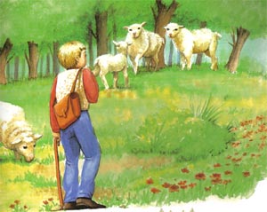 Animale Pastorul si leul modul de viata si caracteristicile lui animal .com .ro