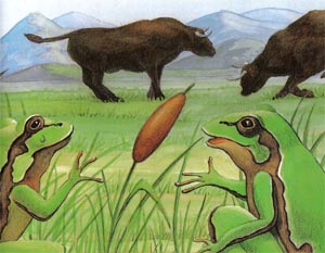 Animale Taurii si broastele modul de viata si caracteristicile lui animal .com .ro