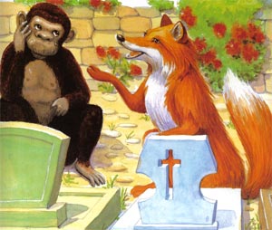Animale Vulpea si maimuta modul de viata si caracteristicile lui animal .com .ro